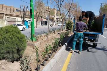 در آستانه  نوروز  
شهر  گلباران شد 
 کاشت  یکصد هزار  عدد گل شب بو و فصلی  در 
#خمینی‌شهر 
